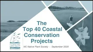 Top 40 Coastal Conservation Projects -Camilla Herlevich -Cape Fear Native Plant Festival 2020 7 of 8