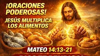 Jesús multiplica los alimentos Reflexión profunda Mateo 14:13-21