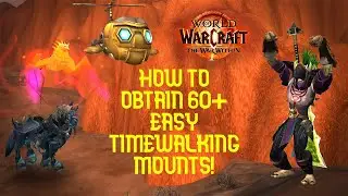 FAST AND EASY 60+ MOUNTS WITH TIMEWALKING! WoW The War Within Guide!
