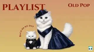Soothing Old Pop Songs | Nana n Dudu
