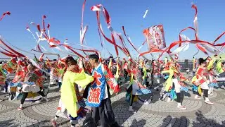 REDA舞神楽 📍黒潮よさこい祭り (利根川会場) 2022-11-27T13:50