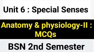 Special Senses Anatomy & Physiology MCQs | BSN 2nd Semester