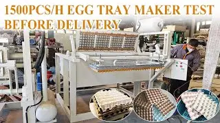 1500pcs/h egg tray machine test run before delivery | Shuliy paper tray making machine for profits