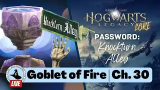 The Pensieve | Goblet of Fire Chapter 30 ⚡ MAGICAL THEORY PODCAST