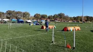 Johnny   Reg. Rd.1. SmartyPaws, Boulder City. 11/8/24