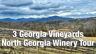 North Georgia Winery Tour - Dahlonega Georgia Wineries - Georgia Vineyards