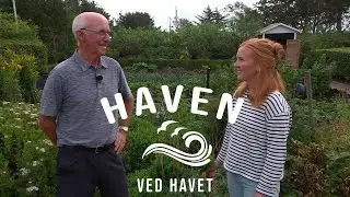 Dag 183 // På besøg hos kolonihaverne i Hanstholm