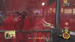 BEST GLITCH EVER-IW PROBLEMS