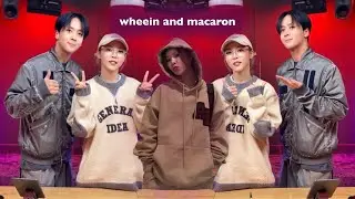wheein and macarons