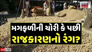 🟠Gujarat Groundnut on MSP News LIVE | મગફળીની ચોરી કે પછી રાજકારણનો રંગ? | Amreli | BJP | Congress