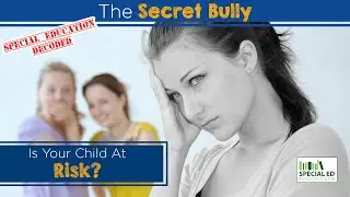 The Secret Bully | Special Education Tips For Parents