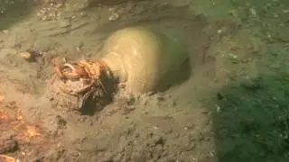 수중발굴 ㅣ마도2호선 underwater excavation of  Mado shipwreck no.2
