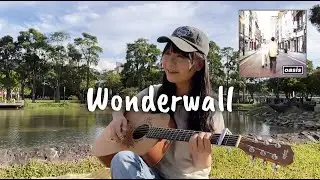 (259) Oasis - Wonderwall 🇬🇧🎸｜Acoustic Guitar Cover by@itsjudy.