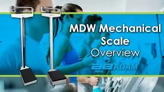 MDW Mechanical Physician Scale Overview