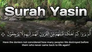 Surah Yasin Recitation | Peaceful Heart and Comforting Calm
