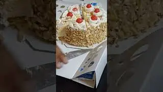 IBACO Ice-cream Cake