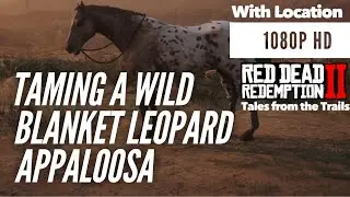 Red Dead Redemption 2: Wild Blanket Leopard Appaloosa  | Location | 1080p HD PS4 Pro | RDR2