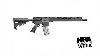 NRA Gun of the Week: Del-Ton Sierra 316L MLok