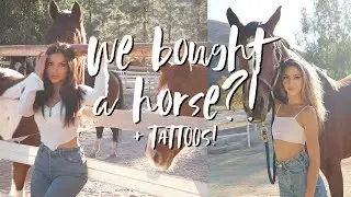 VLOG: WE BOUGHT A HORSE? // ELLEKAE