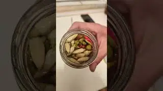 Chili Peppers From The Jar - Balkan Style  #balkan #nature