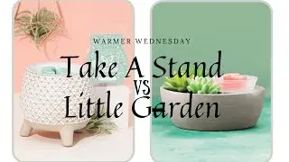 Warmer Wednesday! Take A Stand vs Little Garden