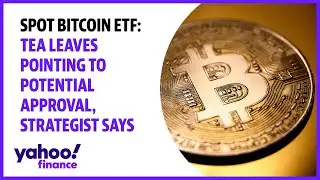 Spot bitcoin ETF: Tea leaves pointing to potential approval, strategist says