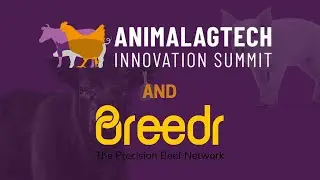 Revolutionizing Beef Production: A Conversation with Ian Wheal, CEO of Breedr