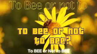 To Bee or Not to Bee: A Pollination Crisis
