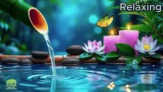 Calm & Soothing Piano Melodies to Reduce Stress #viral