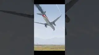 pilot saved huge Airplane after mid air collision