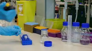 DrosAfrica: Fruit fly research in Africa