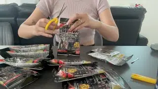 【推し活】RIZINポテトスティックポスターカードコレクション【朝倉未来】