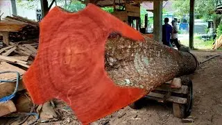 What an amazing find. Giant mahogany logs in an Asian sawmill. 