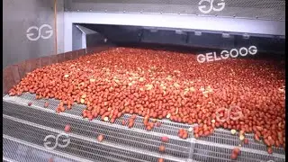 Automatic Peanut Butter Plant Cost (300 KG Per Hour)
