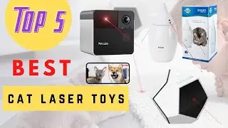 What Type Of Cat Laser Toys Best For You