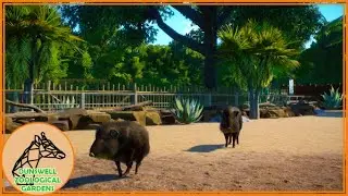 PRACTICE MAKES PECCARY! || EP09 || DUNSWELL ZOO/EAST LAKE ANIMAL EDUCATION CENTRE