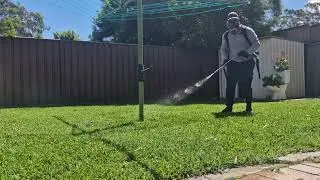 Eliminate Fleas and Insects FOR GOOD with These Tips