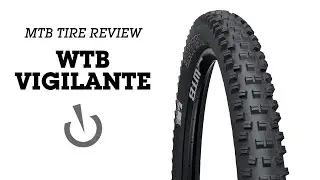 ОБЗОР ШИН ДЛЯ МТБ - WTB Vigilante