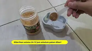 BIKIN GECKO GEMUK, BES GUT LOAD