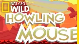 Howling Mouse Game Play | Nat Geo Wild