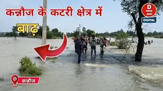 Flood News: कन्नौज के कटरी क्षेत्र में बाढ़।। Kannauj Uttar Pradesh।।@DBHARATNEWS 