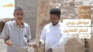 عبد الله دحروج.. مواطن يتقن تربية أخطر أنواع الثعابين في تريم | تقرير: حداد مسيعد