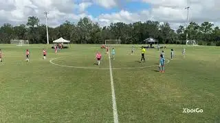 West Florida Flames Vs Fishhawk 