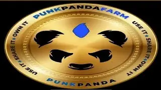 &laquo;Вступительное видео PunkPanda&raquo;