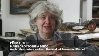 Extrait - An Art that nature makes : The work of Rosamond Purcell - Mardi 05 Octobre &agrave; 20h30