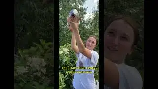 Отличный улов карпа! #fishing #fishingislife #карп #рыбак  #орыбалке #рыбалка #юмор #карповаяловля