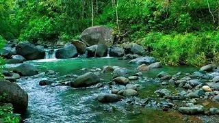 Relaxing River Sound emotional therapy to relieve stress and mental disorders for sleeping