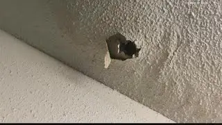 Tenants decry 'poor conditions' in apartment complex