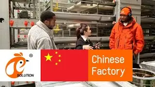 China Chicken Battery Cage And Farm Equipment Manufacture 50 Years History Hot Sale In Africa