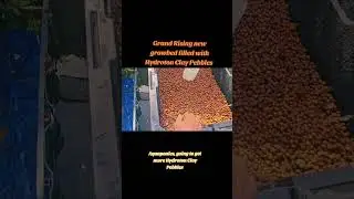 Adding Hydroton clay pebbles in new growbed, have to get more clay pebbles, more growbeds coming